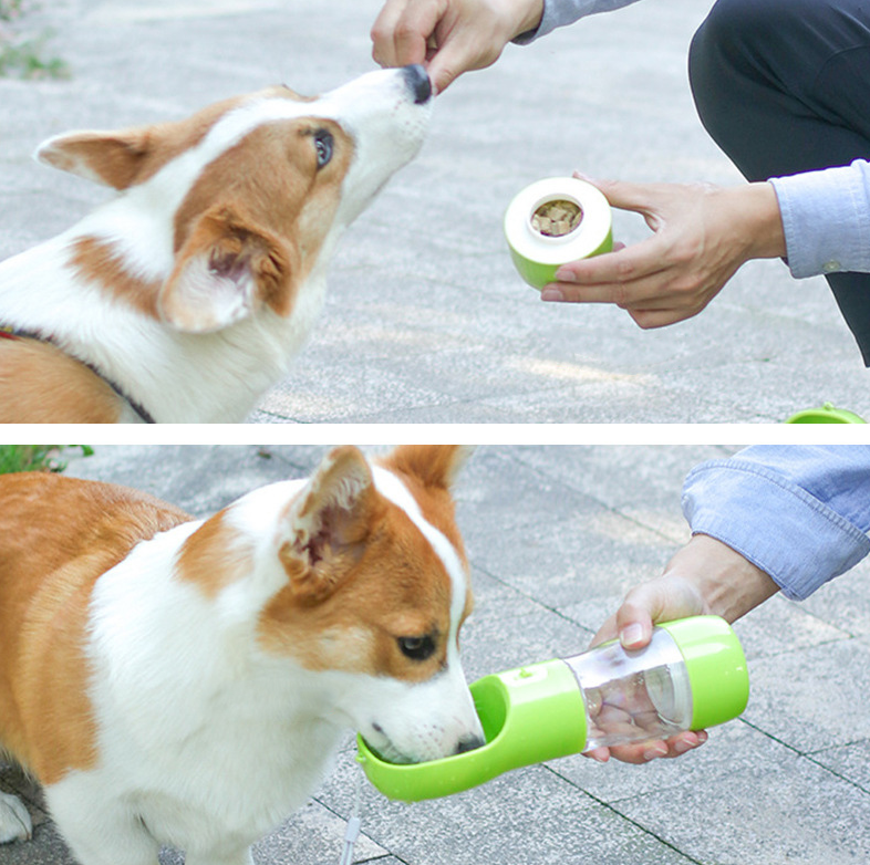 Garrafa de Água Portátil Para Cachorro - DreamBR